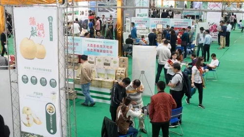 這一年，我們不一樣——禮儀服務(wù)的變革與堅守